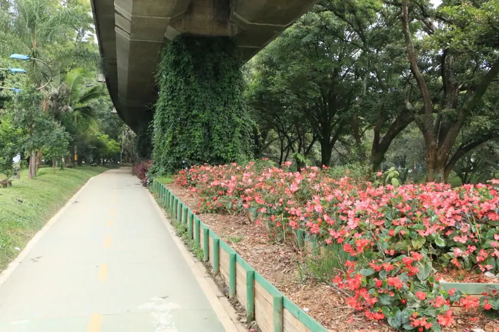 flores-via